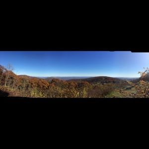 Meet your Posher, Myra